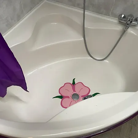 Au Coeur De * Mirepoix (Ariege)